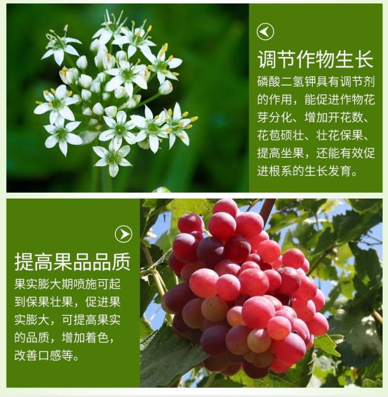 促花保果增色增甜促进光合作用提高作物品质