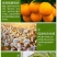 促花保果增色增甜促进光合作用提高作物品质