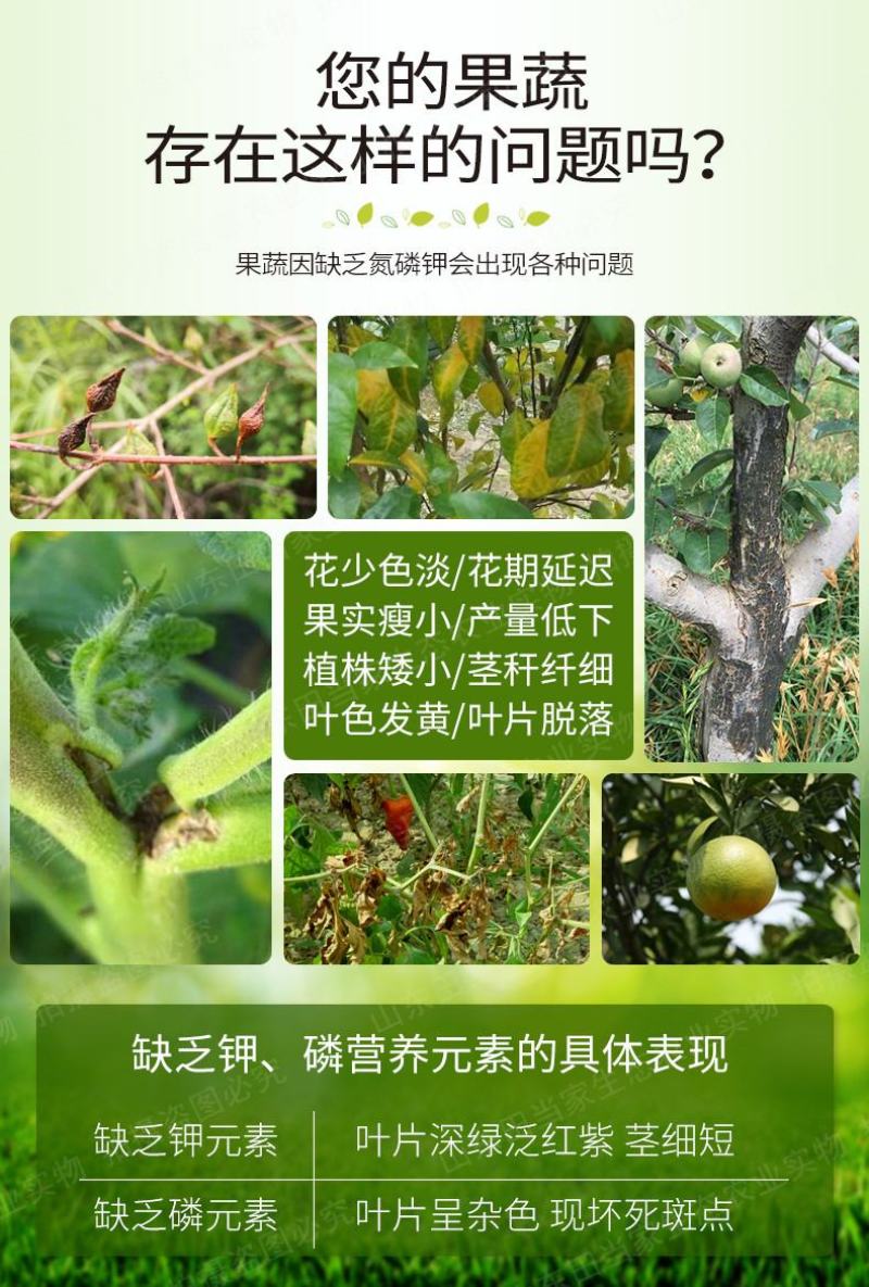 促花保果增色增甜促进光合作用提高作物品质