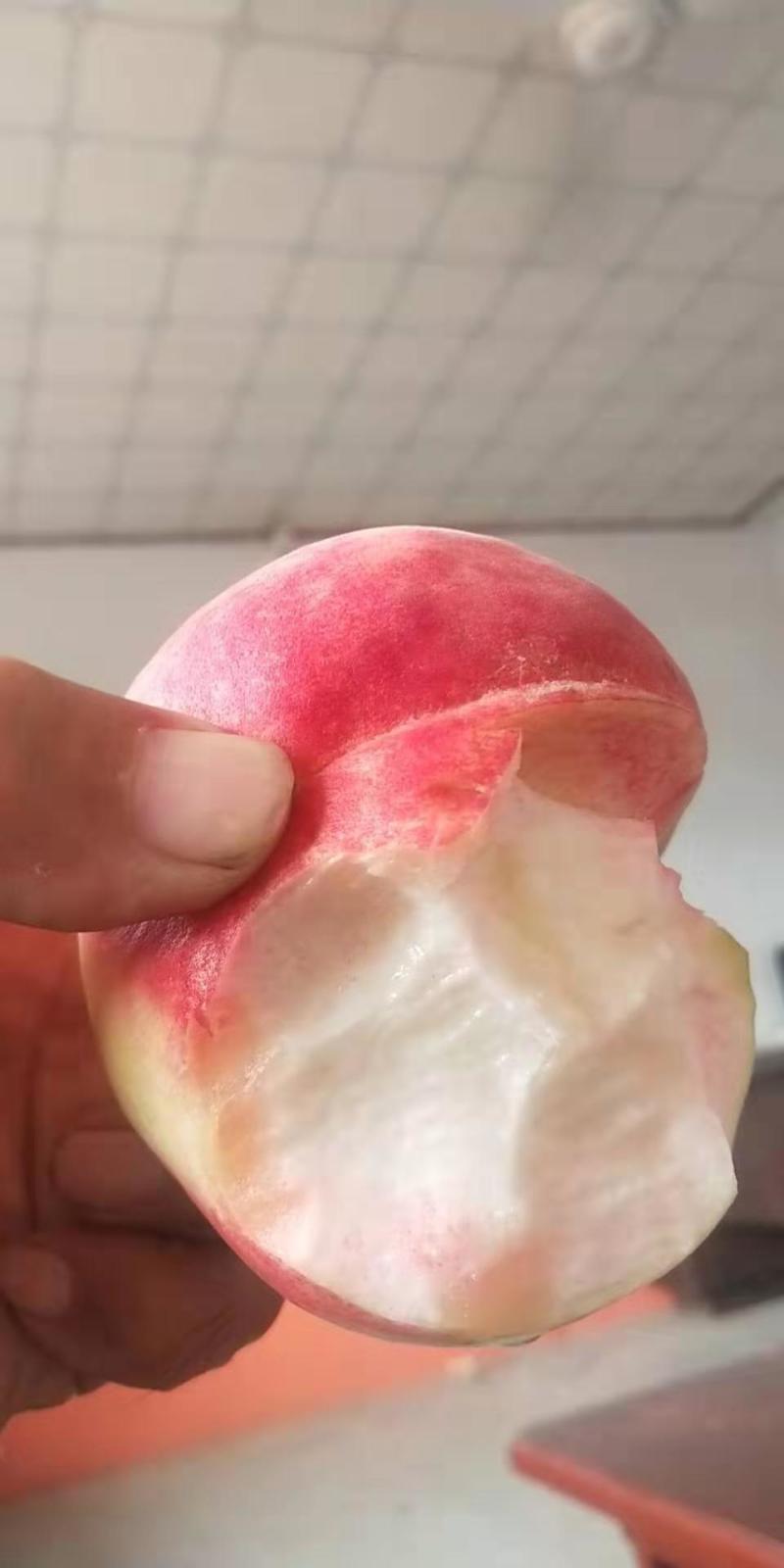 精品毛挑突围桃产地直发批发零售量大从优欢迎来电咨询