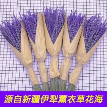 包邮500g新疆薰衣草花束量大从优支持一件代发和整批落地