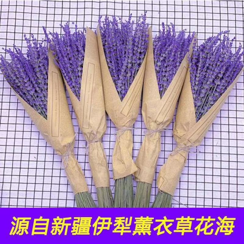 包邮500g新疆薰衣草花束量大从优支持一件代发和整批落地