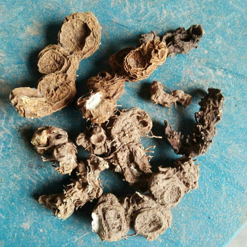 八角莲干货，干度好，欢迎下单。