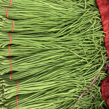 【超市专供】产地直销精品长豆角【精品推荐】