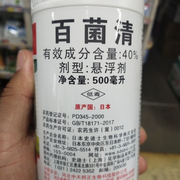 杀菌剂百菌清早疫病叶斑病霜霉病晚疫病