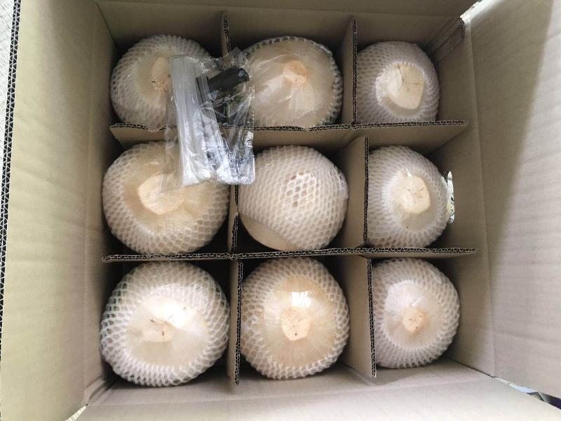 海南椰青喝了又想喝的椰子