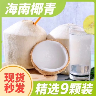 海南椰青喝了又想喝的椰子
