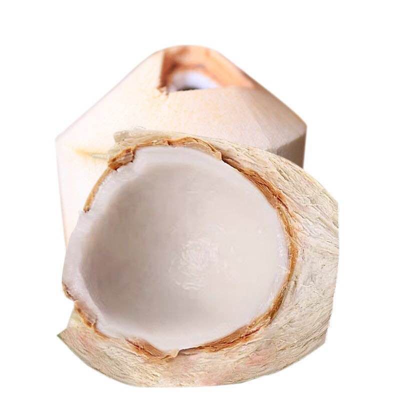 海南椰青喝了又想喝的椰子
