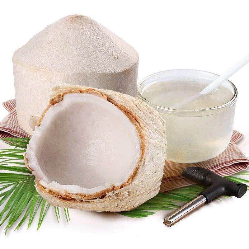 海南椰青喝了又想喝的椰子