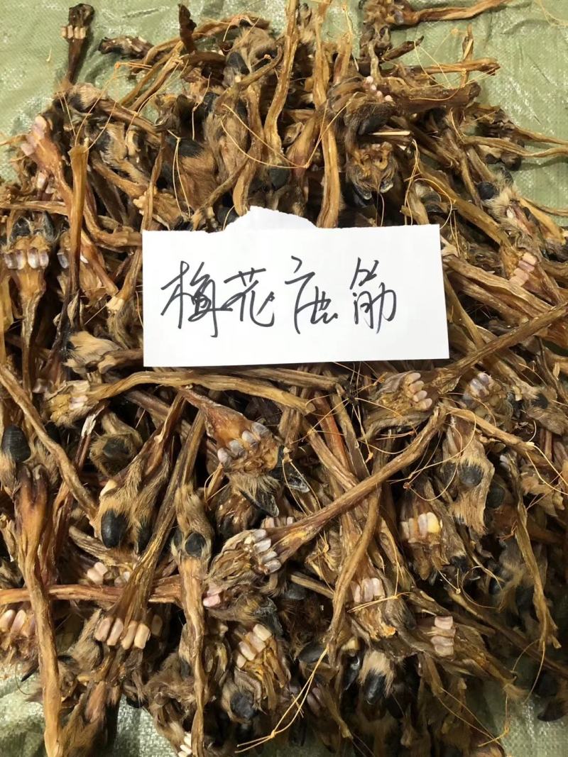 老御头正宗东北干梅花鹿筋500g起批另有鹿茸鹿鞭鹿血批发