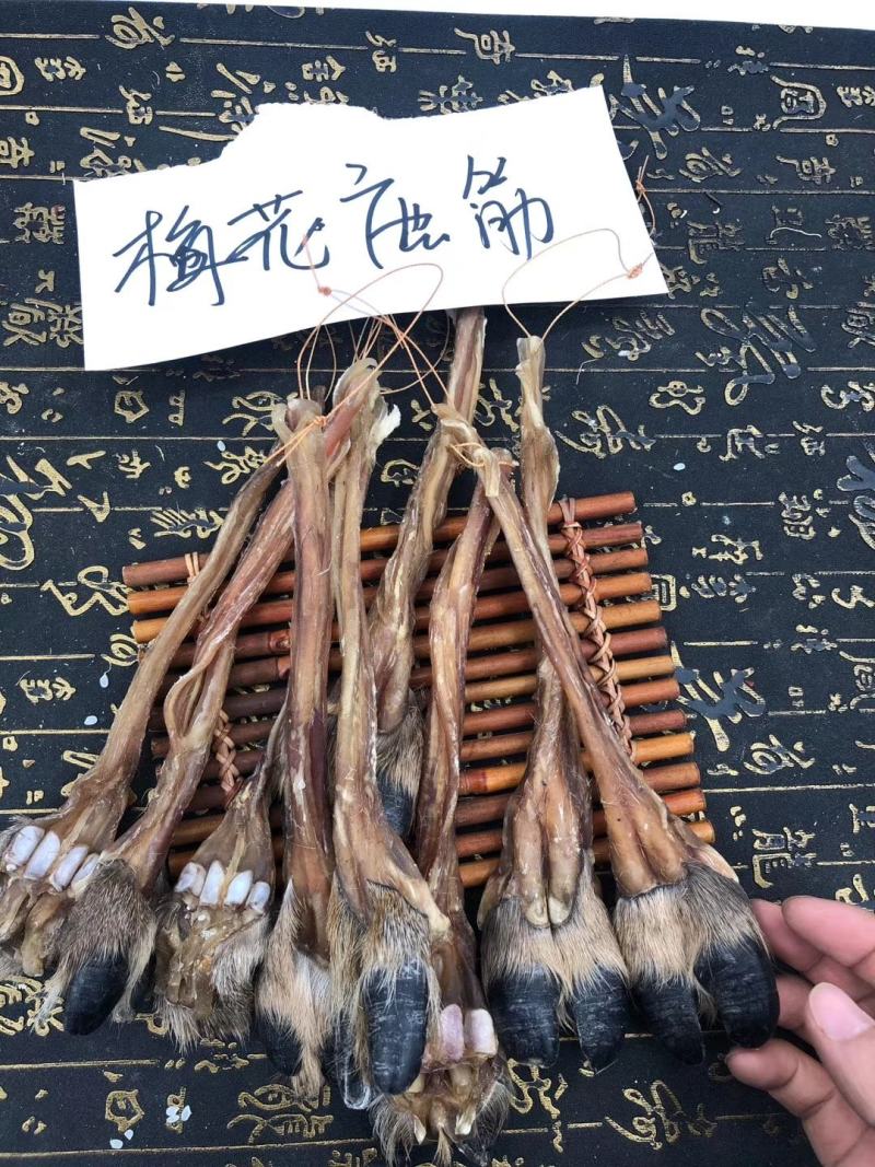 老御头正宗东北干梅花鹿筋500g起批另有鹿茸鹿鞭鹿血批发