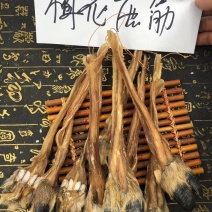 老御头正宗东北干梅花鹿筋500g起批另有鹿茸鹿鞭鹿血批发