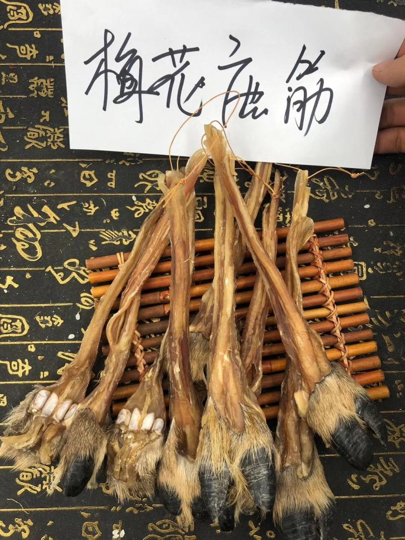 老御头正宗东北干梅花鹿筋500g起批另有鹿茸鹿鞭鹿血批发