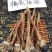 老御头正宗东北干梅花鹿筋500g起批另有鹿茸鹿鞭鹿血批发