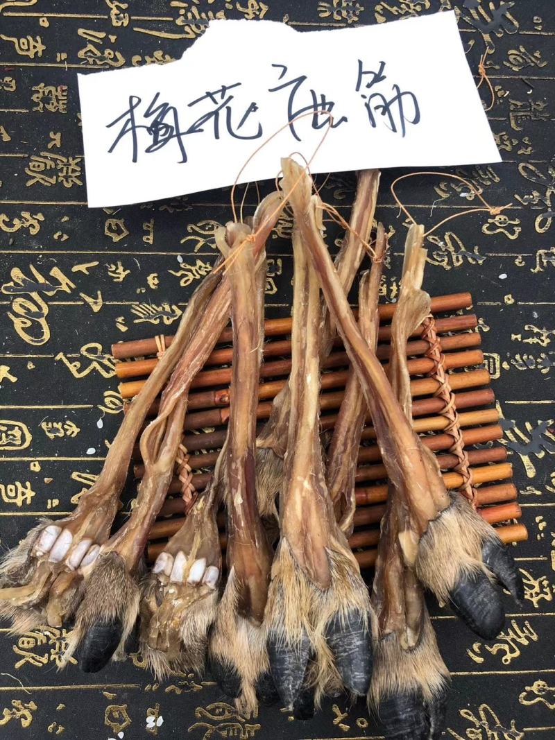 老御头正宗东北干梅花鹿筋500g起批另有鹿茸鹿鞭鹿血批发