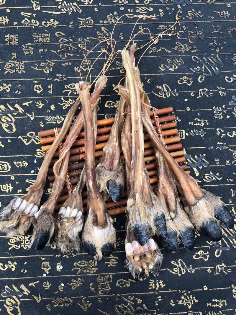 老御头正宗东北干梅花鹿筋500g起批另有鹿茸鹿鞭鹿血批发
