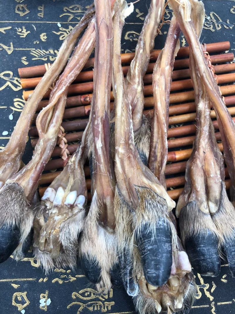 老御头正宗东北干梅花鹿筋500g起批另有鹿茸鹿鞭鹿血批发