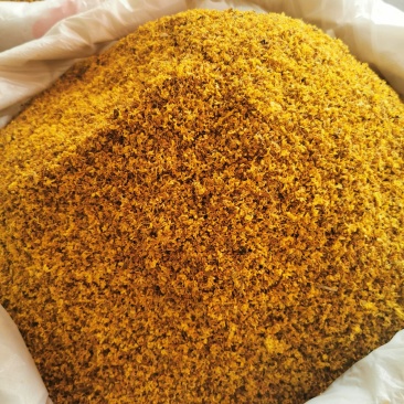 桂花产地直销量大从优一手货源