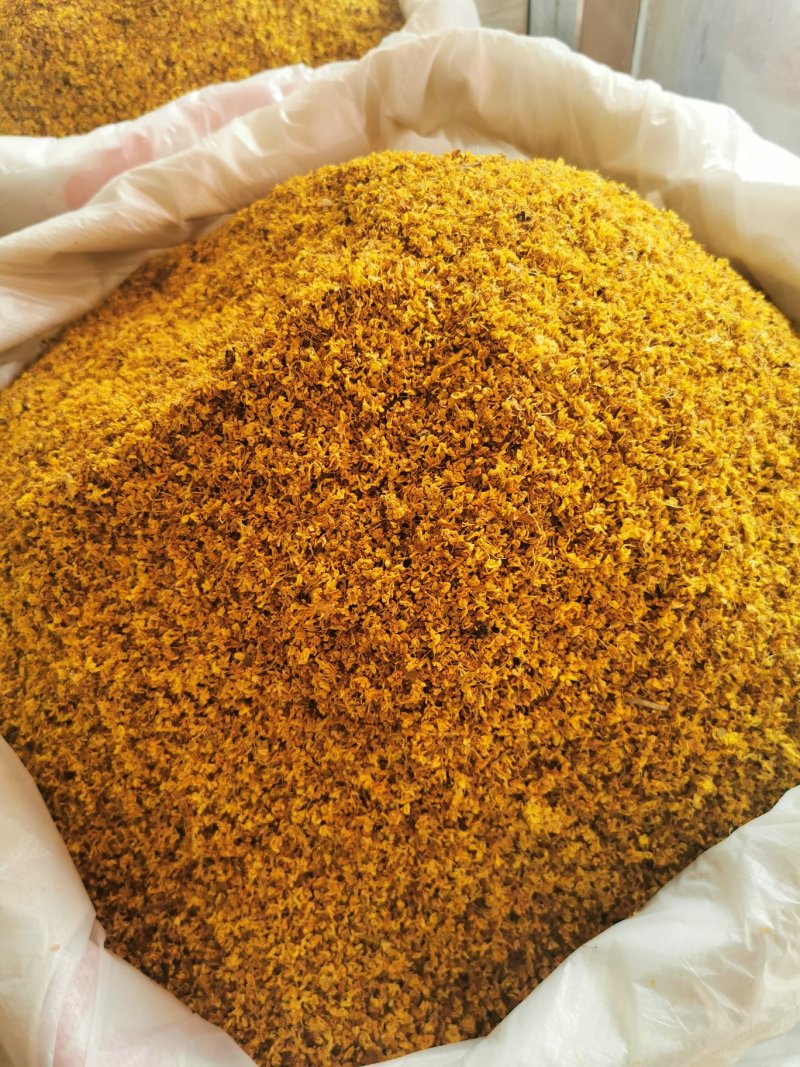 桂花产地直销量大从优一手货源