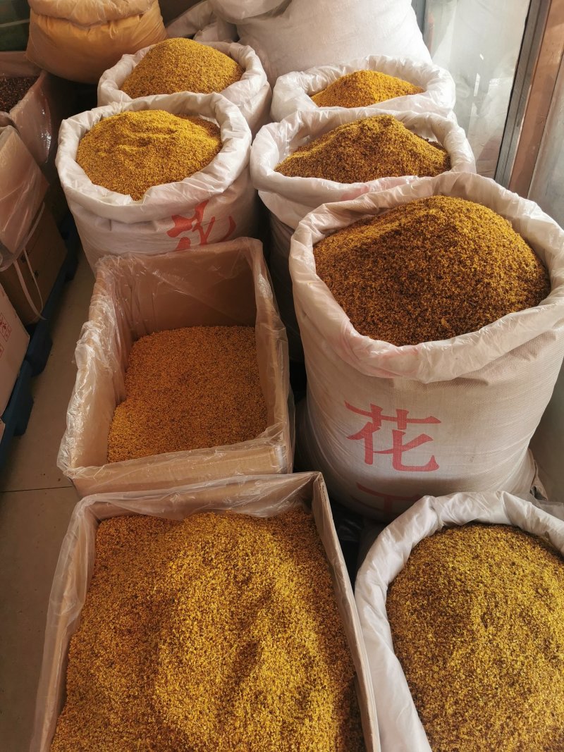 桂花产地直销量大从优一手货源