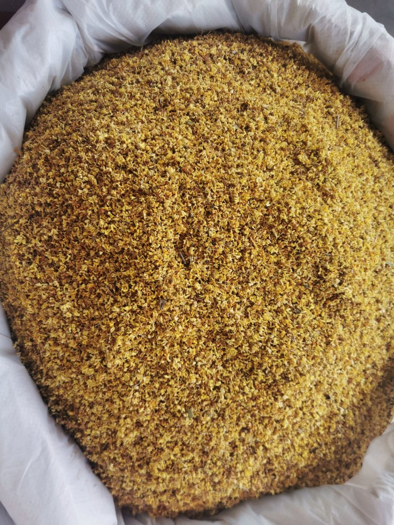 桂花产地直销量大从优一手货源