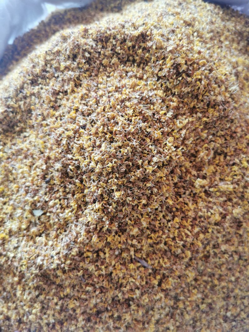 桂花产地直销量大从优一手货源