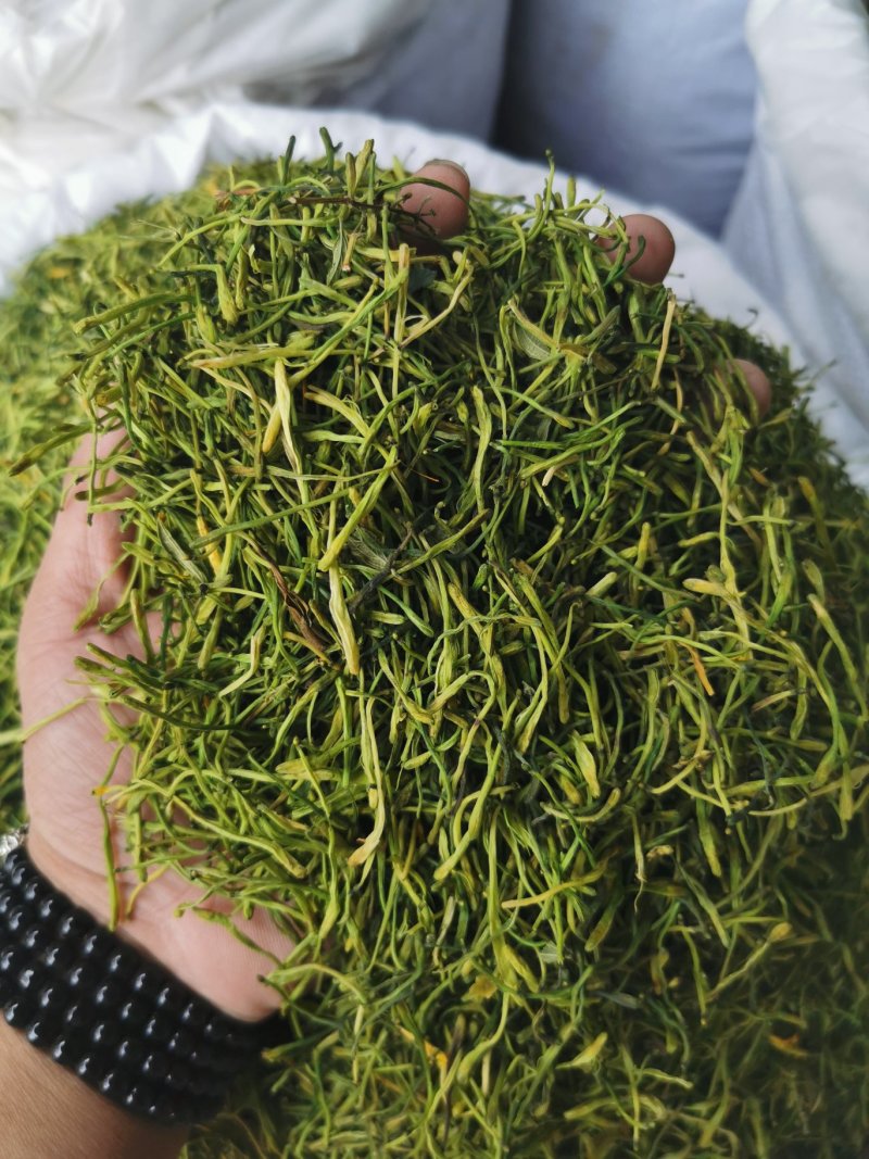 金银花河南金银花产地直销量大从优