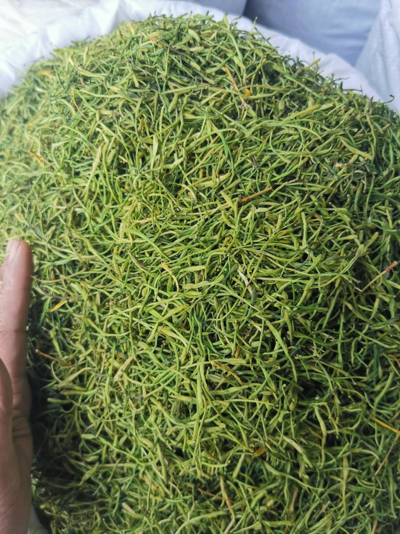 金银花河南金银花产地直销量大从优