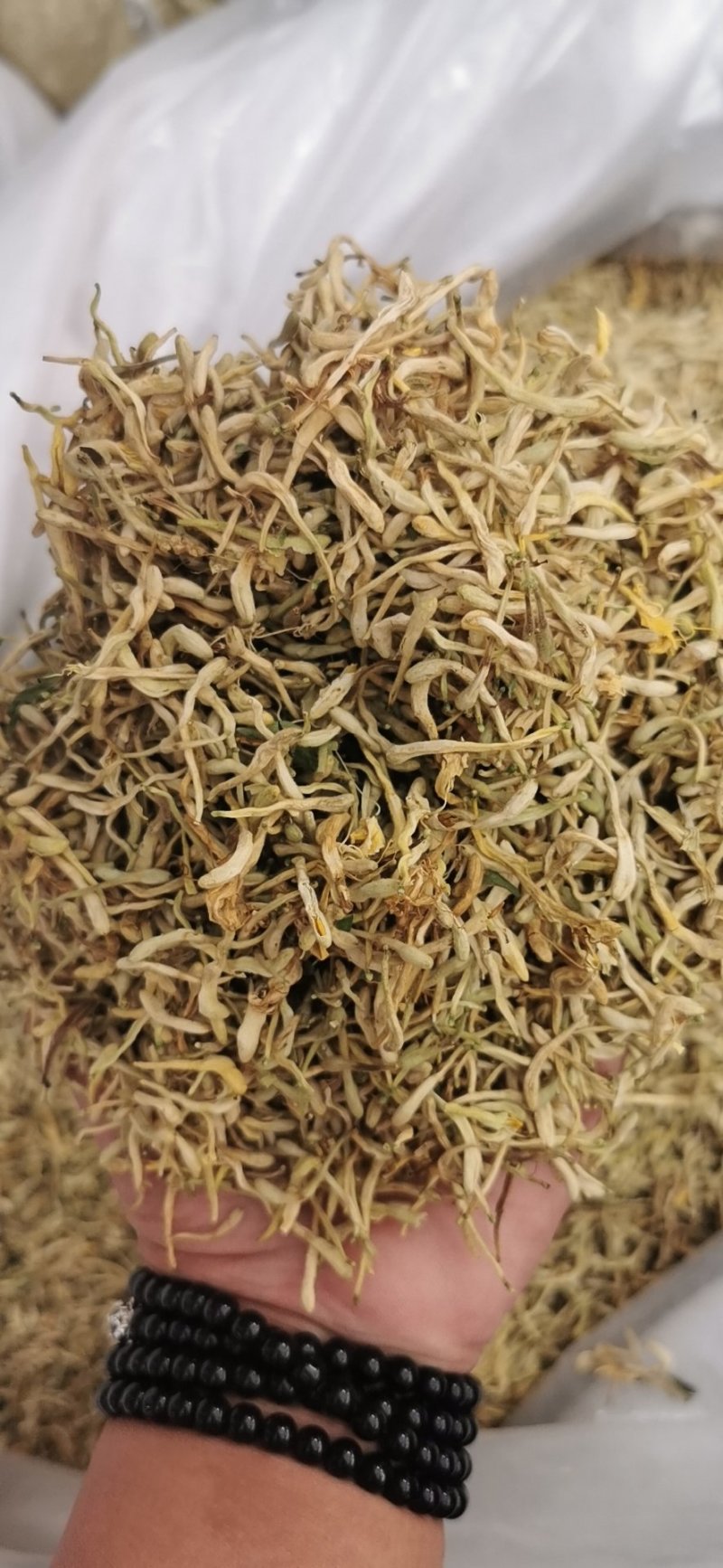 金银花河南金银花产地直销量大从优