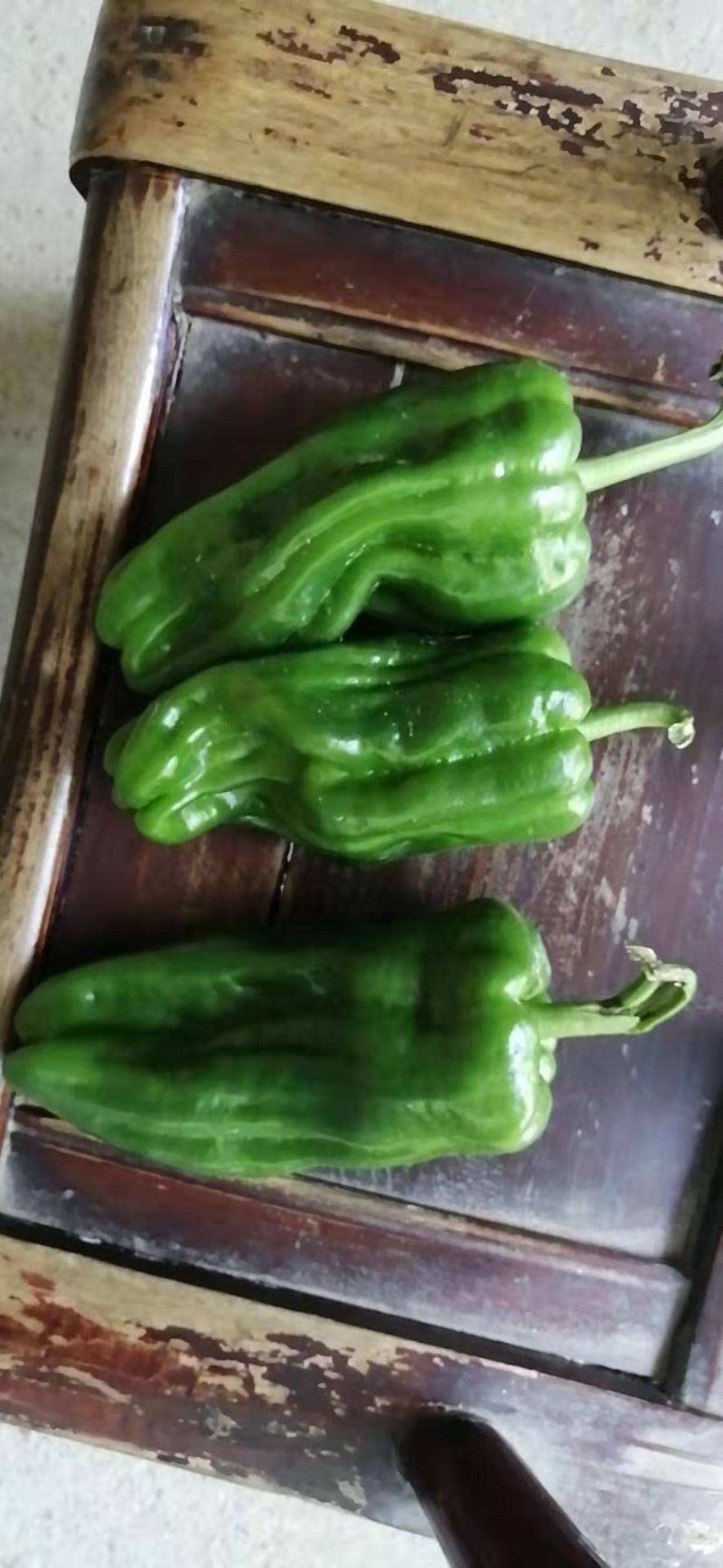 芜湖椒虎皮椒薄皮椒