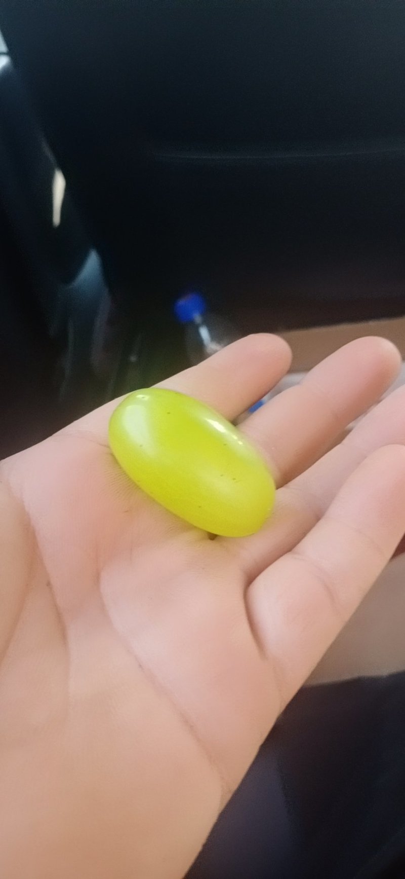 维多利亚葡萄