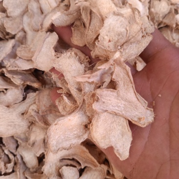 干姜干姜片香料批发无粉末过筛新货
