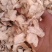干姜干姜片香料批发无粉末过筛新货