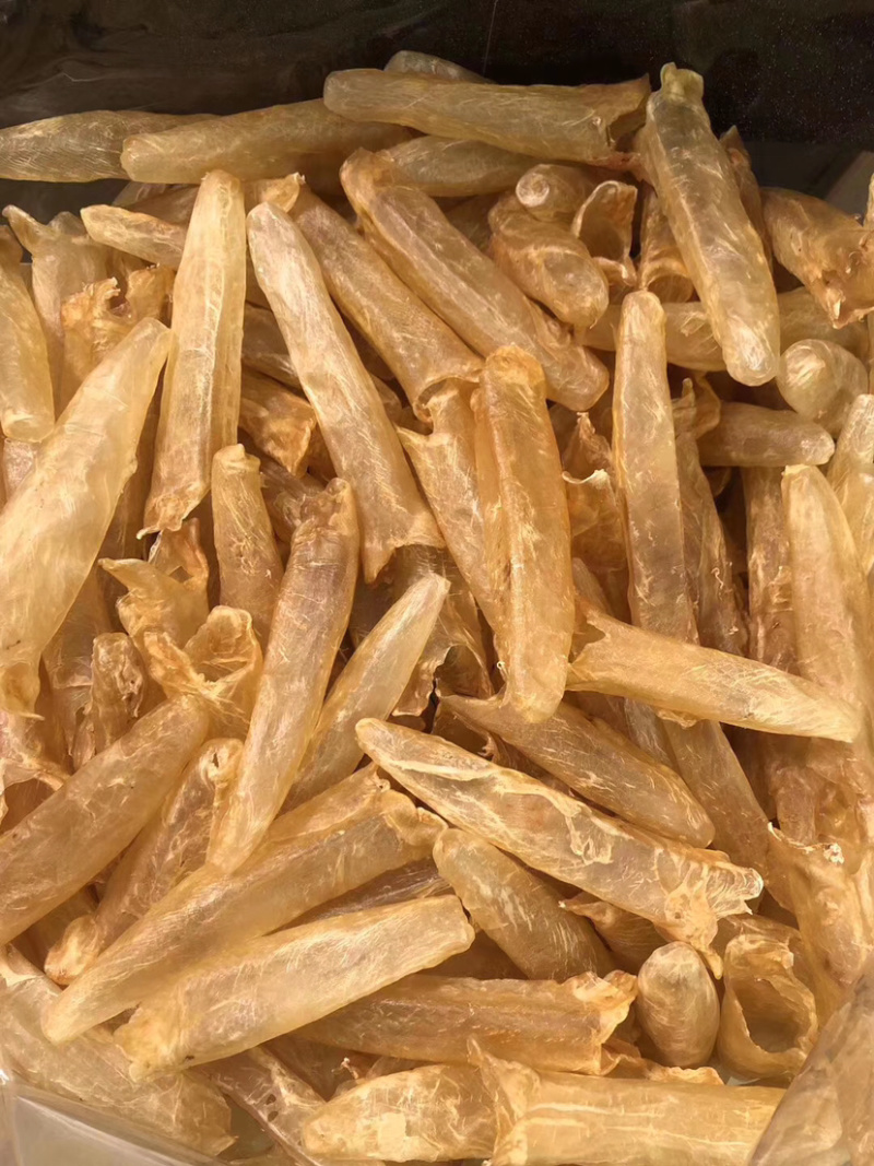 60头黄花筒胶花胶批发一手货源