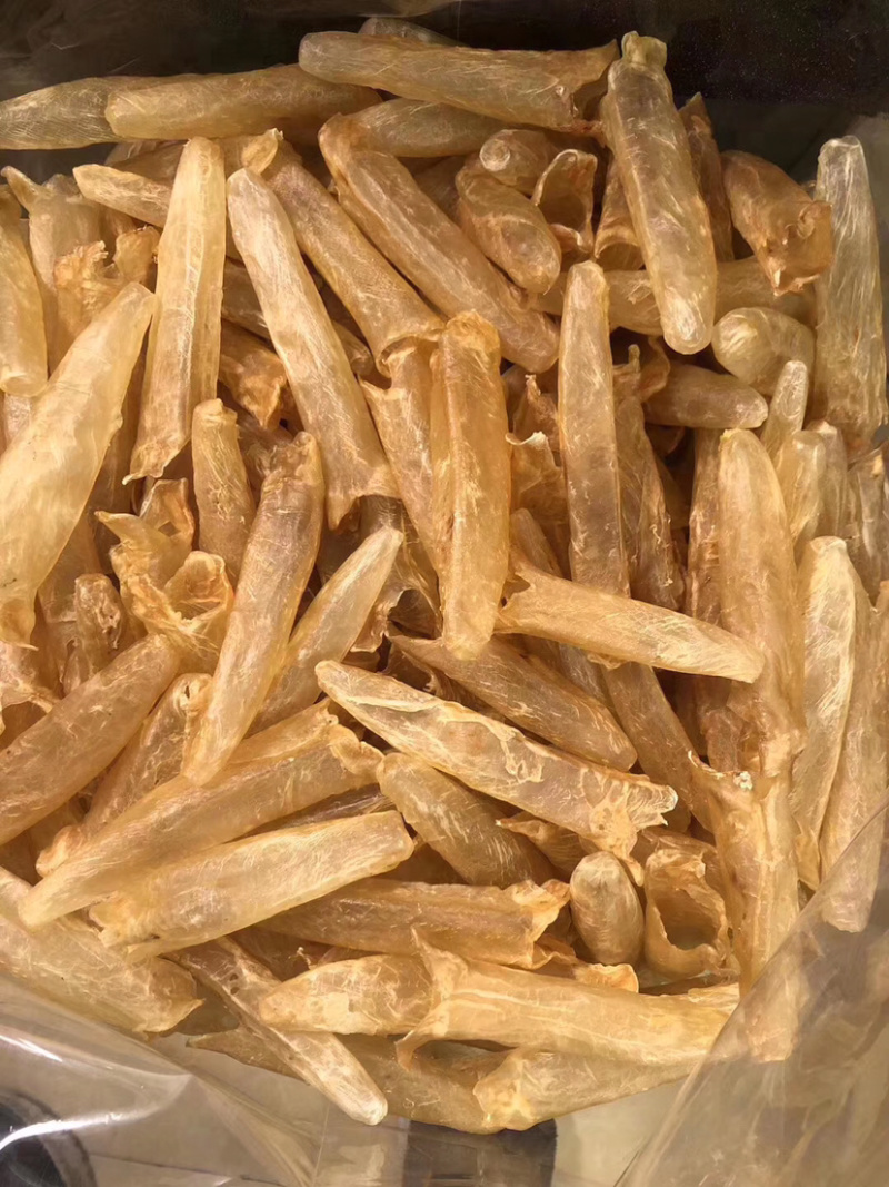 60头黄花筒胶花胶批发一手货源