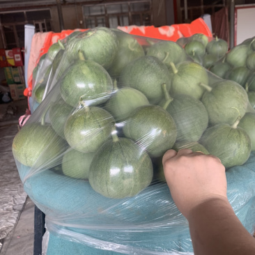 精品香瓜羊角蜜八里香金妃白糖罐批发