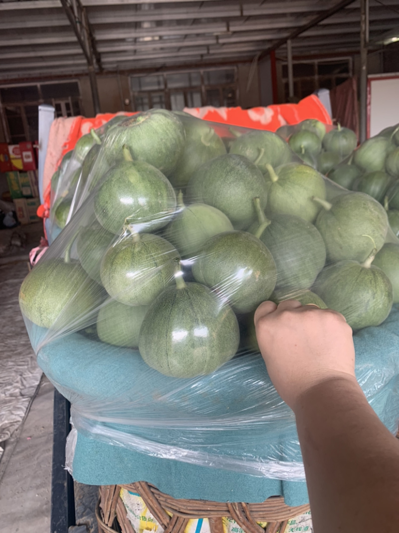 精品香瓜羊角蜜八里香金妃白糖罐批发