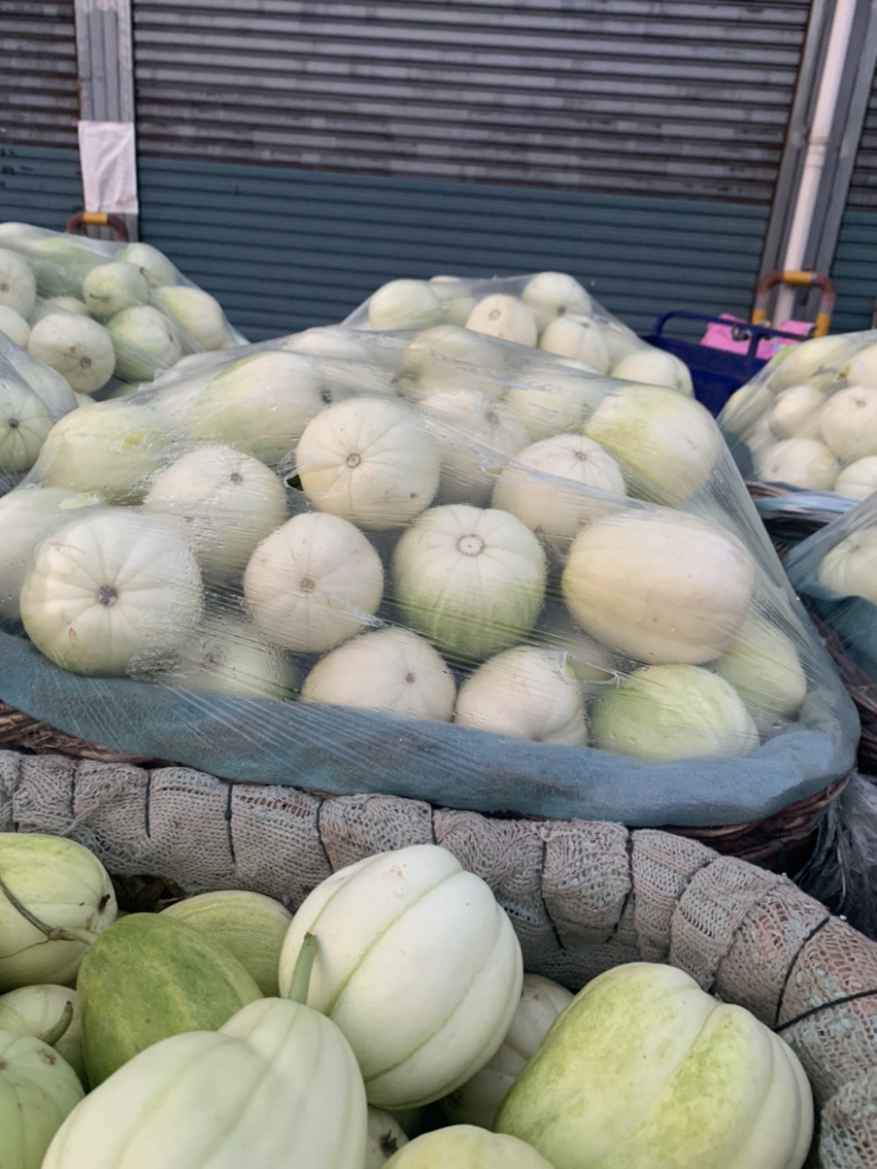 精品香瓜羊角蜜八里香金妃白糖罐批发