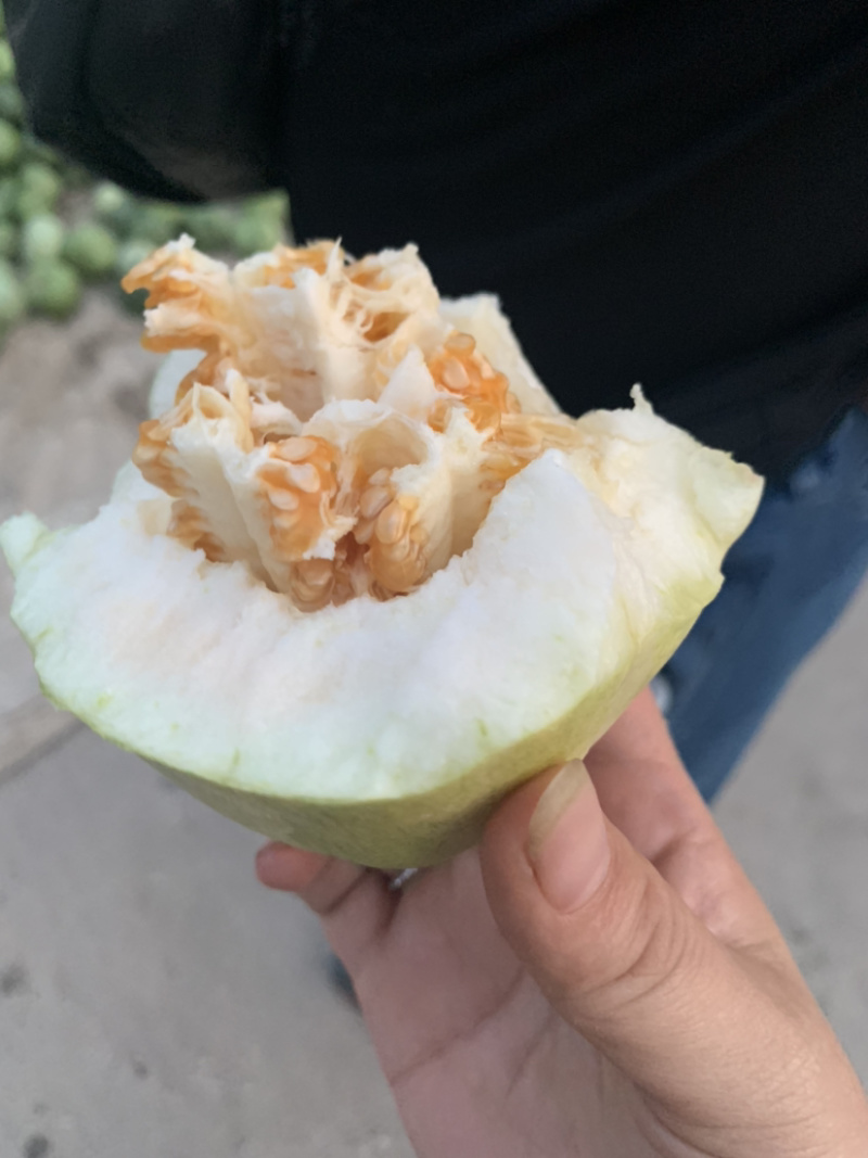 精品香瓜羊角蜜八里香金妃白糖罐批发