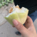 精品香瓜羊角蜜八里香金妃白糖罐批发