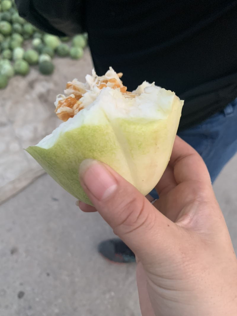 精品香瓜羊角蜜八里香金妃白糖罐批发