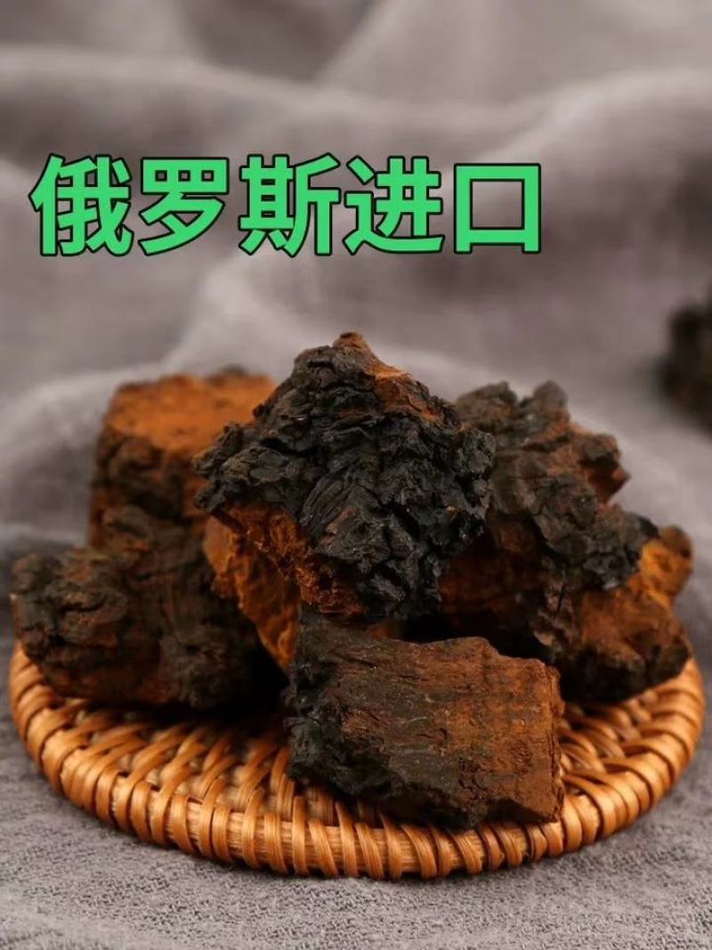 俄罗斯西伯利亚原包桦树茸