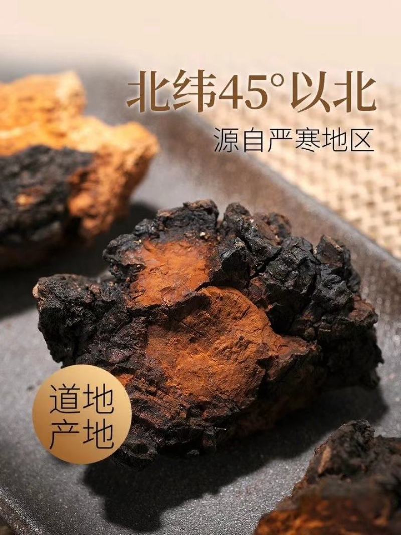 俄罗斯西伯利亚原包桦树茸