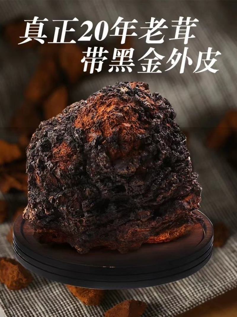 俄罗斯西伯利亚原包桦树茸