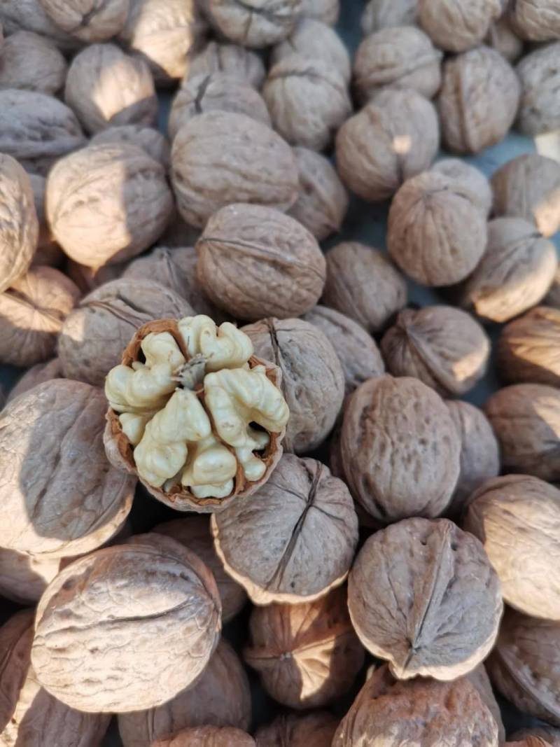 【精选纸皮核桃】唐山特产皮薄如纸果仁饱满，产地直销。