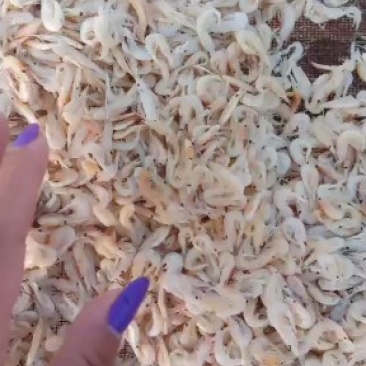 虾皮特大虾皮，质量保证，