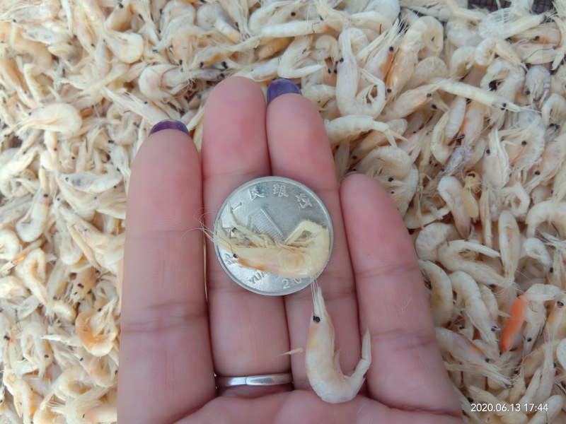 虾皮特大虾皮，质量保证，
