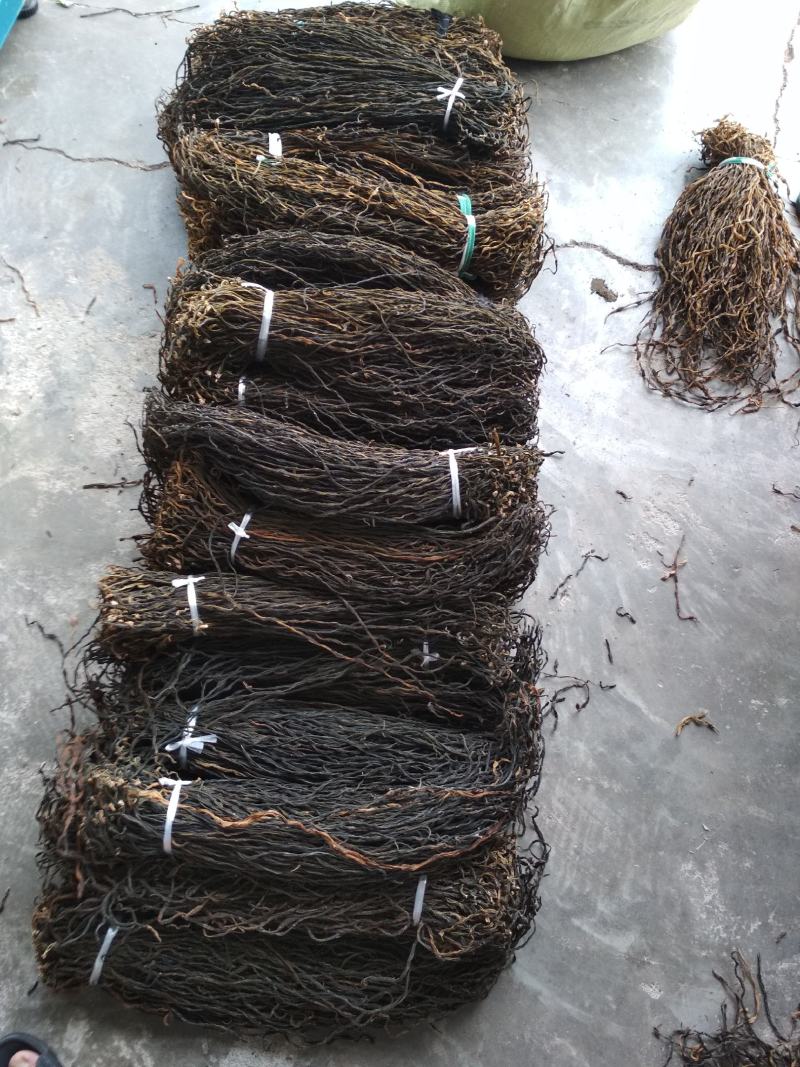 陕西干豆角脱水长豆角产地直销自然晒干干度好无夹心
