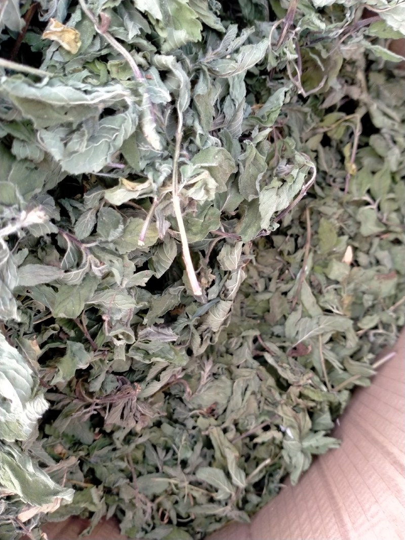 薄荷叶各种规格！精品大货批发！质量好！价格低！