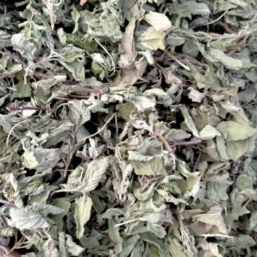薄荷叶各种规格！精品大货批发！质量好！价格低！
